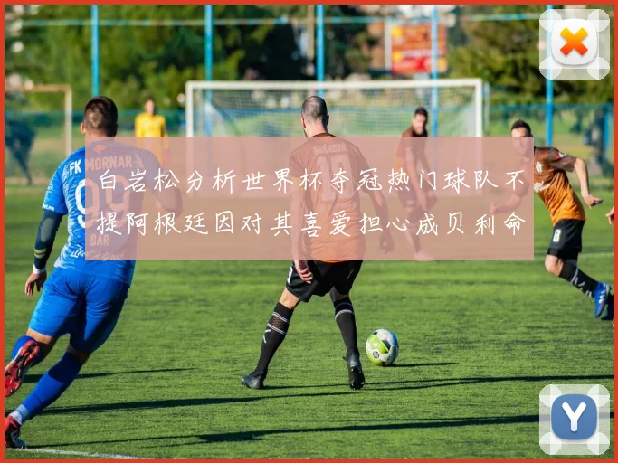 白岩松分析世界杯夺冠热门球队不提阿根廷因对其喜爱担心成贝利命运