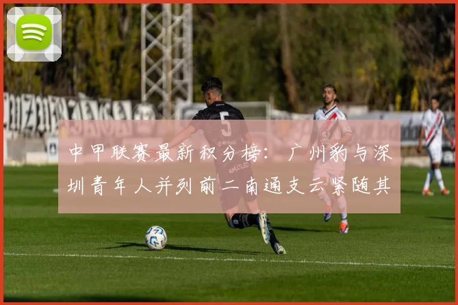 中甲联赛最新积分榜：广州豹与深圳青年人并列前二南通支云紧随其后
